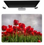  Asztali Alátét Védő Szőnyeg 50x35 Tulipán Mintás (Podkładka Personalizowana Z Nadrukiem Mix Wz)
