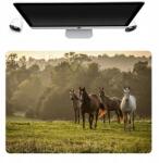  Asztali Alátét Védő Szőnyeg 50x35 Lovas Minták (Podkładka Pod Mysza Nadruki Różne Mix Wzorów)