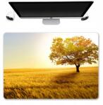  Asztali Alátét Védő Szőnyeg 50x35 Őszi Minták (Mix Wzorów Mata Pod Klawiatuę Wzory)