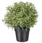 IKEA Mű Növény Cserépben Rozmaring 22cm Ikea Fejka (90382113)