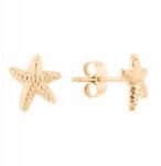 Energetix Mágneses fülbevaló Arany tengeri csillag sebészeti acél csillag stift (8397-1)