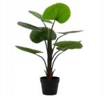 Kaemingk Műpálma legyezőpálma cserépben, dekorációs, 75 cm (sztuczny kwiat duży)