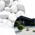  Díszkő Kavics Fehér Thassos Görög Természetes Dekor Kő 3-6CM 5KG