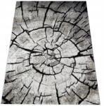  Szőnyeg 120x170 Fatörzs Modern Loft (Mocat Dywany)