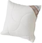 Inter-widex Párna, KASMÍR szabályozható párna, 40x40cm (SHKASPCC40x40B250gTN)