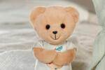 Zapf Creation BABY born for babies Teddy 26cm (839225-116725) (839225-116725)