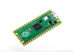 Raspberry PI Pico RP2040 (RASPBERRY-PI-PICO) (RASPBERRY-PI-PICO) (RASPBERRY-PI-PICO)