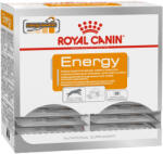 Royal Canin Energy Jutalomfalat Kutyáknak - 30x50 g