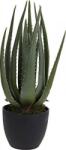 Dekoracja domu Műnövény Aloe Vera 45cm 317220190 (443180) (443180)