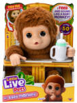 Little Live Pets Maki Puiul meu (LLP26558)