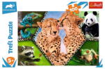  Puzzle Animal Planet 100 db-os Trefl (172086) (16424)