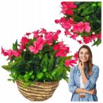 Griny Mű Surfinia Pelargónia, mint az Élő, Függő Cserép, Erkély, Terasz Dísze (Griny)