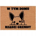 TabPrint Lábtörlő Kókusz Rost Lábtrölő 60x40cm Személyre Szabott Kutyás Mintával (Kokosowa Wycieraczka Frontowa Personalizowana)