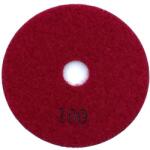 Corax Pro 24007 Gyémánt polírozó korong, száraz Ø180 mm P100 (24007.180.0100)