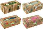 Tento Family Big Box dobozos papírzsebkendő 2 rétegű 200 db
