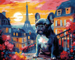 Alkotásutca Franci a bulldog - Számfestő készlet kereten 40x50