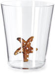 Bizzotto Set 6 pahare sticla decor Stea de Mare maro Ø9x10, 5h (0200400) Pahar