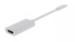 Well Adaptor USB Type C 3.1 - HDMI 4K 2K 3840x2160 30Hz Well (ADAPT-USBC-HDMI/4K30-WL) - drumix