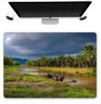  Asztali Alátét Védő Szőnyeg 50x35 Tájkép Mintás (Podkładka Perso Pod Mysz Wzory Nadruk)