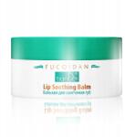 TianDe Puhító ajakbalzsam (85607)