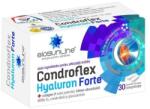 AC HELCOR Condroflex Hyaluron Forte, 30 comprimate, Helcor