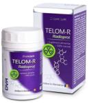 DVR Pharm Telom-R Radioprot, 120 capsule