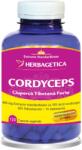 Herbagetica Cordyceps 10/30/1, 120 capsule, Herbagetica - springfarma