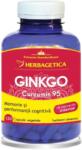Herbagetica Gingko Curcumin95, 120 capsule, Herbagetica