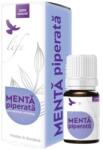 DVR Pharm Menta piperata ulei esential integral, 10ml