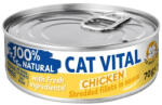 Cat Vital Chicken 70 g