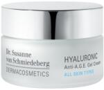 Dr. Susanne von Schmiedeberg Anti-A. G. E. Gel 15 ml