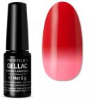 Profinails gel lac LED/UV lakkzselé 6gr TC 405
