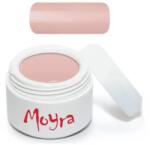 Profinails Moyra Artistic festő zselé 5g No. 10