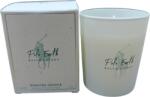 Ralph Lauren Lumânare parfumată Polo Earth 75 gr