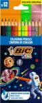 BIC Creioane BIC colorate din lemn Evolution Smooth Cosmo Edition, 12 buc/set 301839