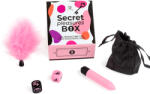 Secret Play Secret Pleasures Box