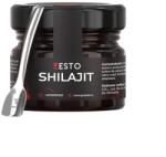  Supliment Alimentar Unisex Zesto Shilajit pentru Energie, Vitalitate, Potenta, 20 gr