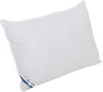 Alcam SaniMed Alcam párna 50x70x10 cm, hipoallergén steppelt mikroszálas anyagból, szilikon szálas töltettel és SilverPlus® kezeléssel - emag - 3 390 Ft