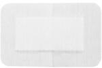 Prima Plasturi Sterili PPSB, 10 cm x 25 cm, Ambalati Individual, Prima, 20 Bucati (VTR-0938-10x25-NB)