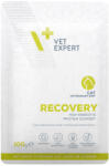 VetExpert VETEXPERT Recovery Cat - nedves állatorvosi táplálék macskáknak, 100 g