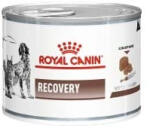 Royal Canin Veterinary Recovery konzerv kutyáknak és macskáknak 12x195g