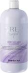 Inebrya Grey By Day șampon tonifiant pentru păr 1000ml (48653)