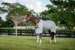 Horseware Ireland Rambo Protector, 'Silver/Navy, White&Beige' légytakaró - 155 cm