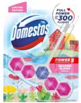 Domestos Odorizant wc cu bile 55 g Power5 Seaside Bloom Tropical