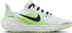 Nike Pegasus 41 gs 40