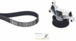 Continental Ctam Set curea transmisie cu caneluri CONTINENTAL CTAM 6PK1019 ELAST K1 (6PK1019 ELAST K1) - automobilus