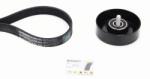 Continental Ctam Set curea transmisie cu caneluri CONTINENTAL CTAM 6PK955K1 (6PK955K1)