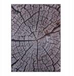 Dywany Łuszczów Szőnyeg 160X220 CM Nappaliba Fa Barna Fatörzs Befőttes Üveg Bcf Barna (M816)