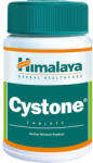 Himalaya Cystone 100 comprimate