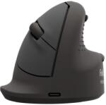 Fellowes Breyta Small 100143580 Mouse